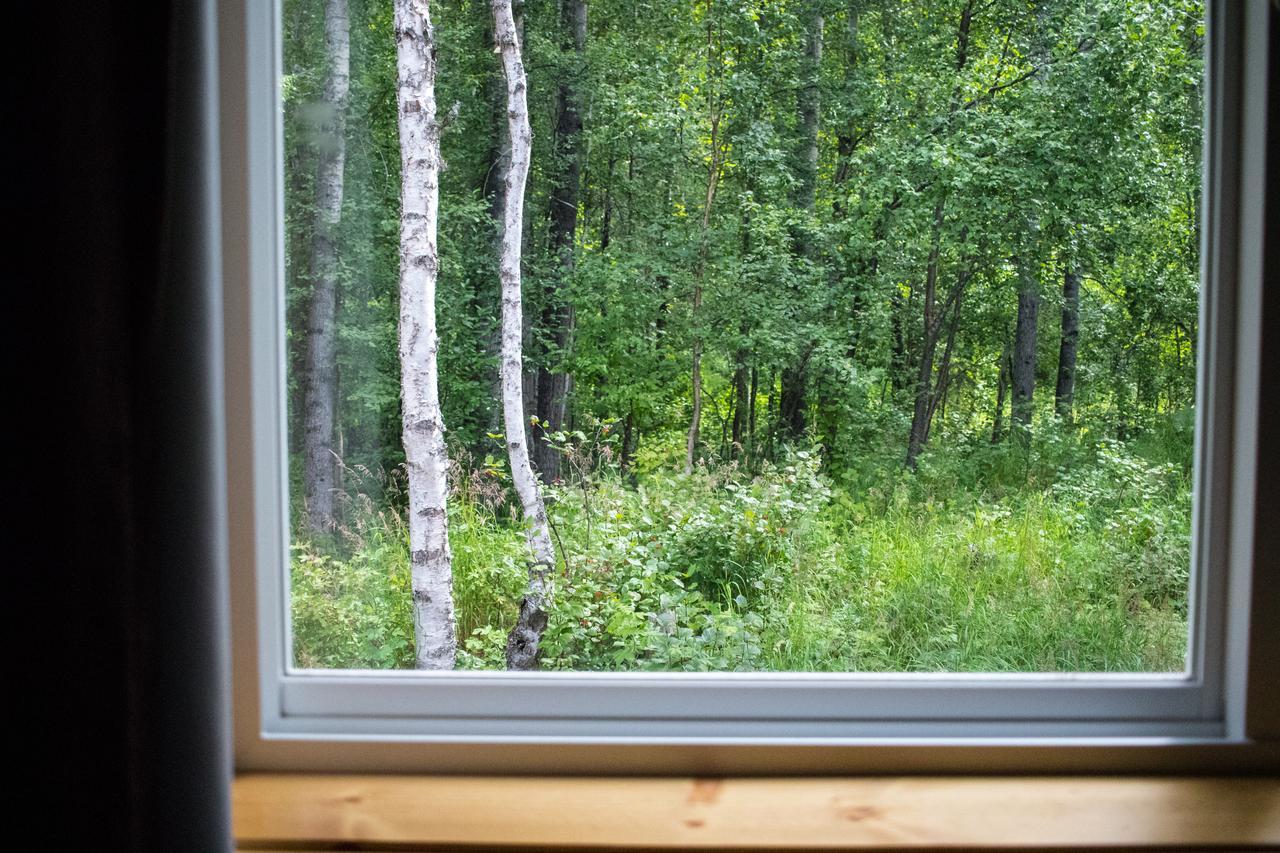 Talkeetna Wilderness Lodge&Cabin Rentals Sunshine Buitenkant foto